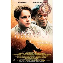 THE SHAWSHANK REDEMPTION V2 1994 90s ORIGINAL CINEMA MOVIE PRINT PREMIUM POSTER
