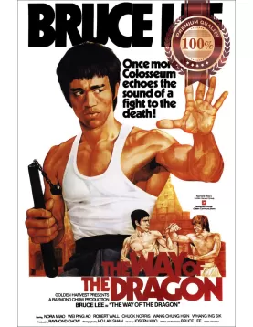 THE WAY OF THE DRAGON 70s BRUCE LEE ORIGINAL FILM MOVIE PRINT PREMIUM POSTER