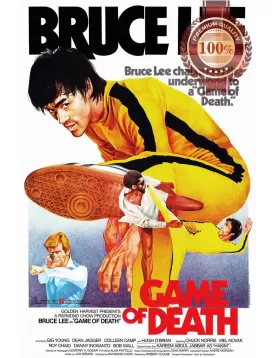 GAME OF DEATH BRUCE LEE V2 1978 70s ORIGINAL CINEMA FILM MOVIE PRINT PREMIUM POSTER