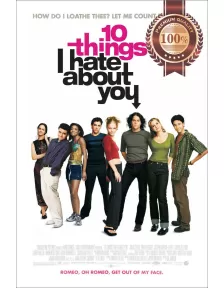 10 THINGS I HATE ABOUT YOU 1999 90s ORIGINAL MOVIE FILM PRINT PREMIUM POSTER