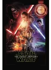 STAR WARS THE FORCE AWAKENS V2 STARWARS MOVIE WALL ART PRINT PREMIUM POSTER STAR WARS THE FORCE AWAKENS V2 STARWARS MOVIE WALL ART PRINT PREMIUM POSTER