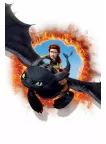 TOOTHLESS HOW TO TRAIN YOUR DRAGON 2 2014 MOVIE WALL ART PRINT PREMIUM POSTER TOOTHLESS HOW TO TRAIN YOUR DRAGON 2 2014 MOVIE WALL ART PRINT PREMIUM POSTER